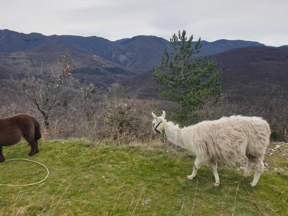 Maison Au Pied Du Parc National Des Cevennes Villa Arre Екстериор снимка